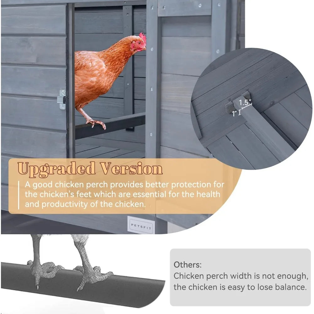 Large Chicken Coop with Upgraded Perches