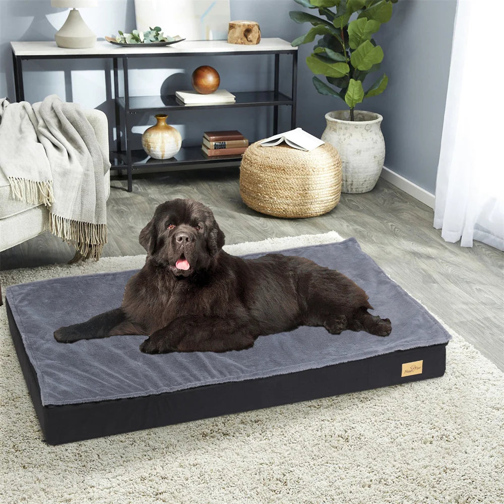 Large Orthopaedic Dog Bed