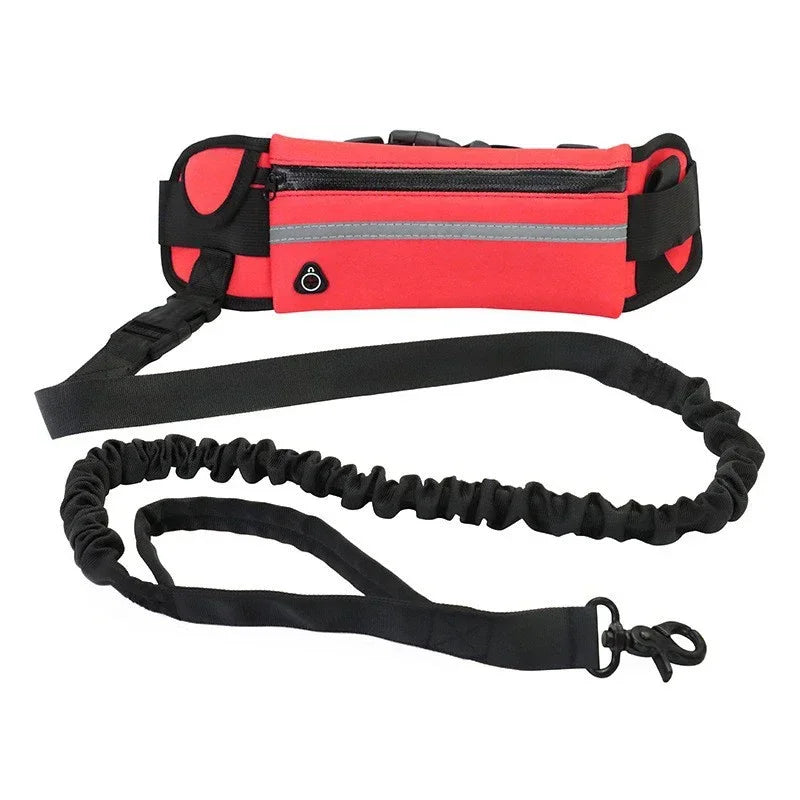 Hands Free Dog Leash for Running/Walking