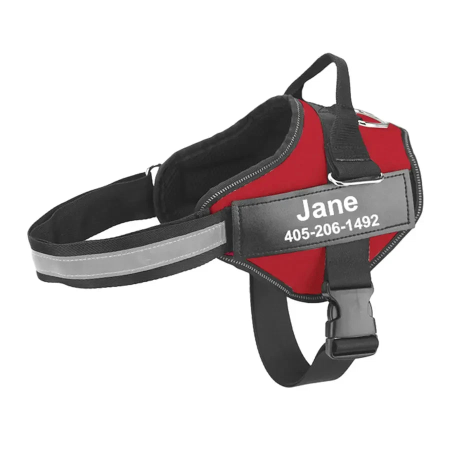 Personalized Dog Harness