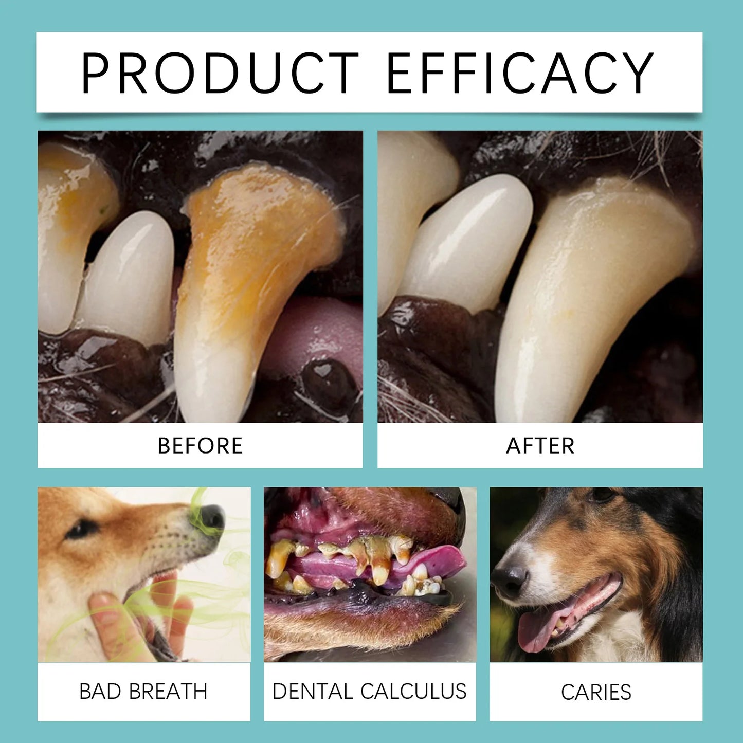 1-4PCS Pet Finger Toothbrush for Dogs and Cats