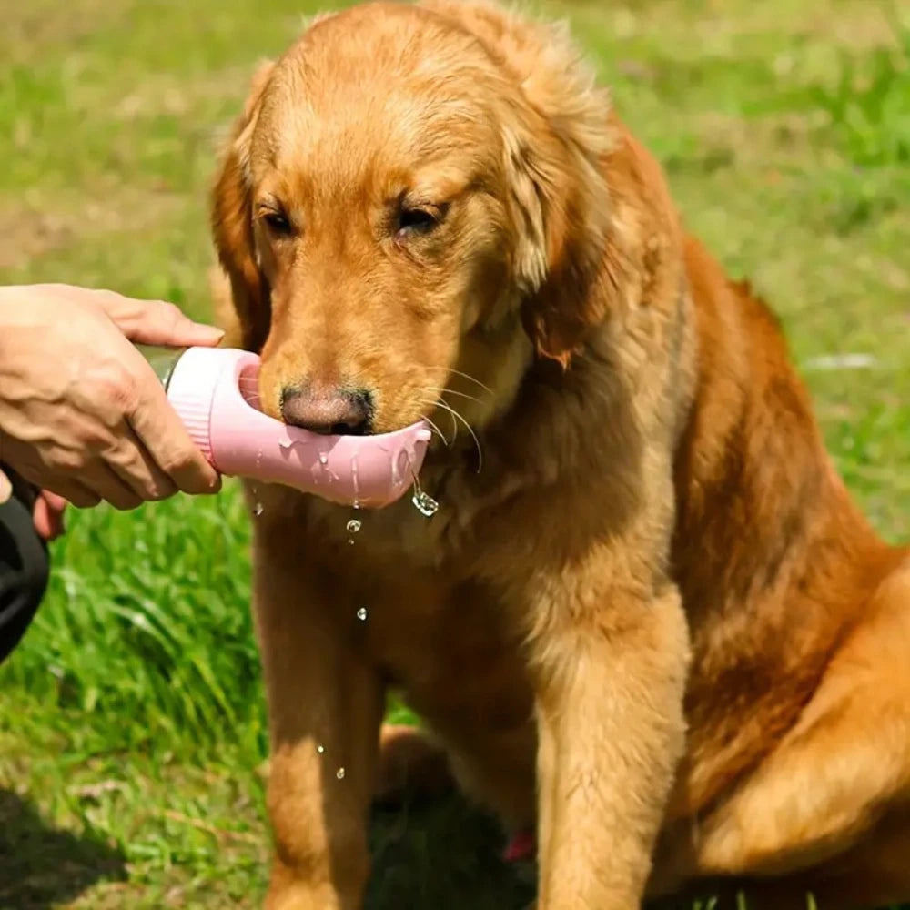 Collapsible Dog Water Cup
