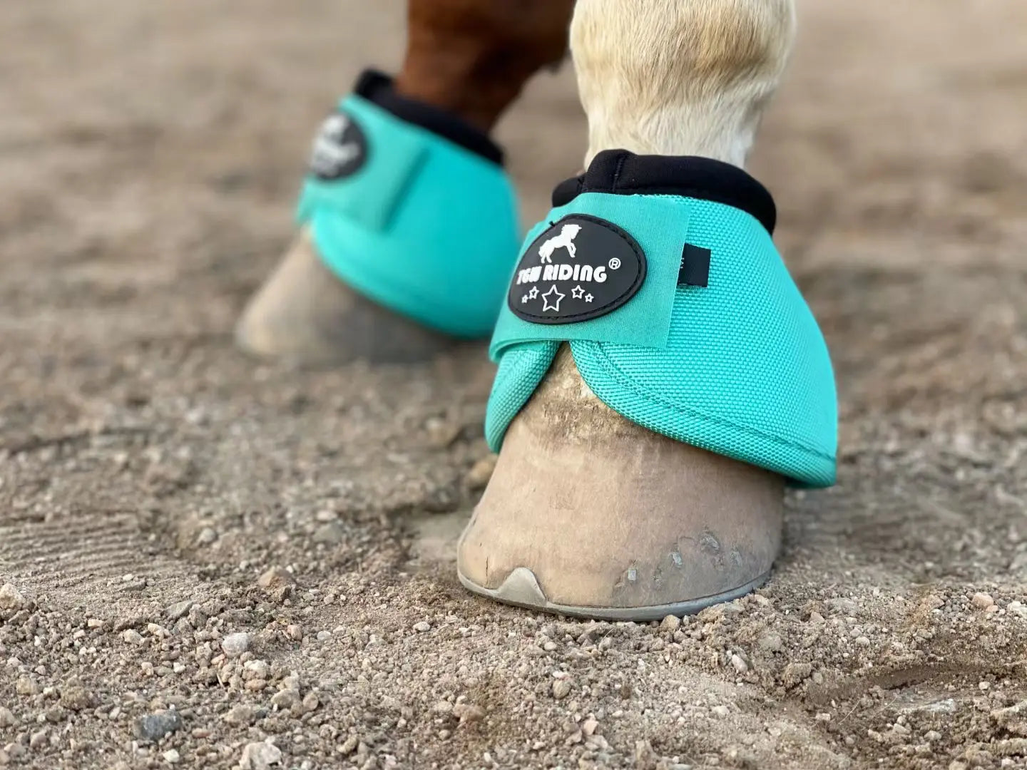 TGW RIDING 2520D Horse Bell Boots