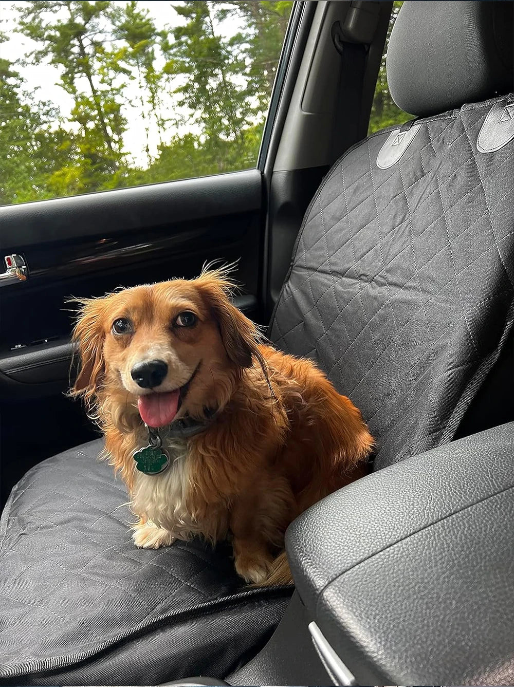 Dog Car Seat Covers