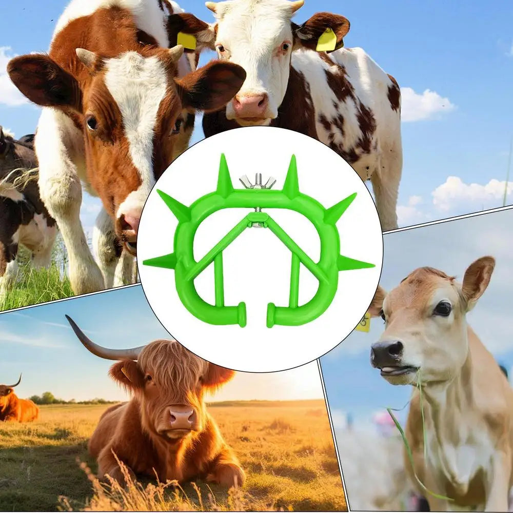 Cow Nose Ring