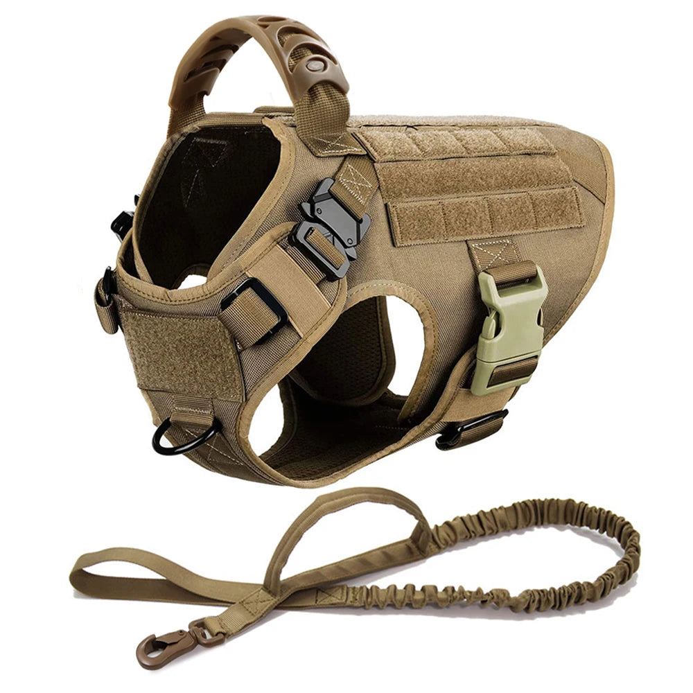 Large Dog Harness and Leash Set