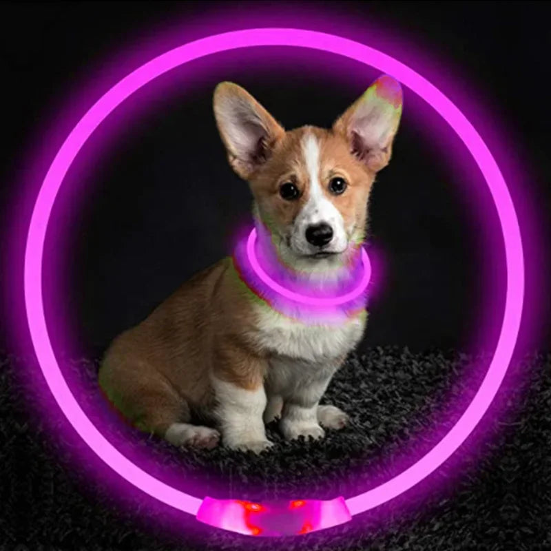 USB Charging Necklace Led Luminous Dog Collar Light