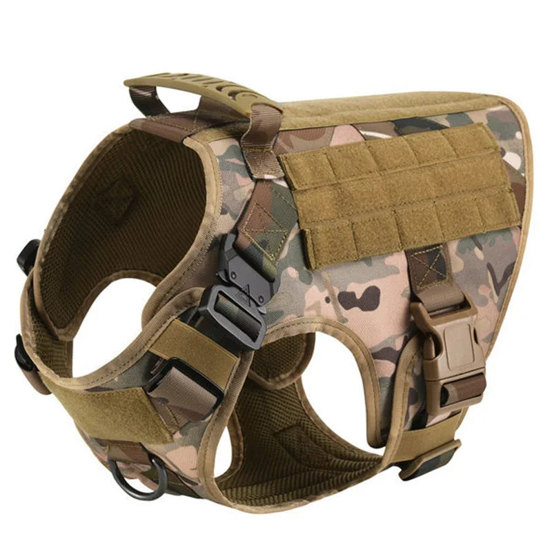 Large Dog Harness and Leash Set