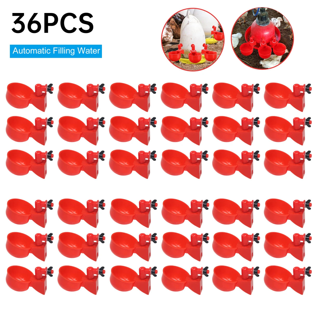 36-1PCS Chicken Drinking Cup