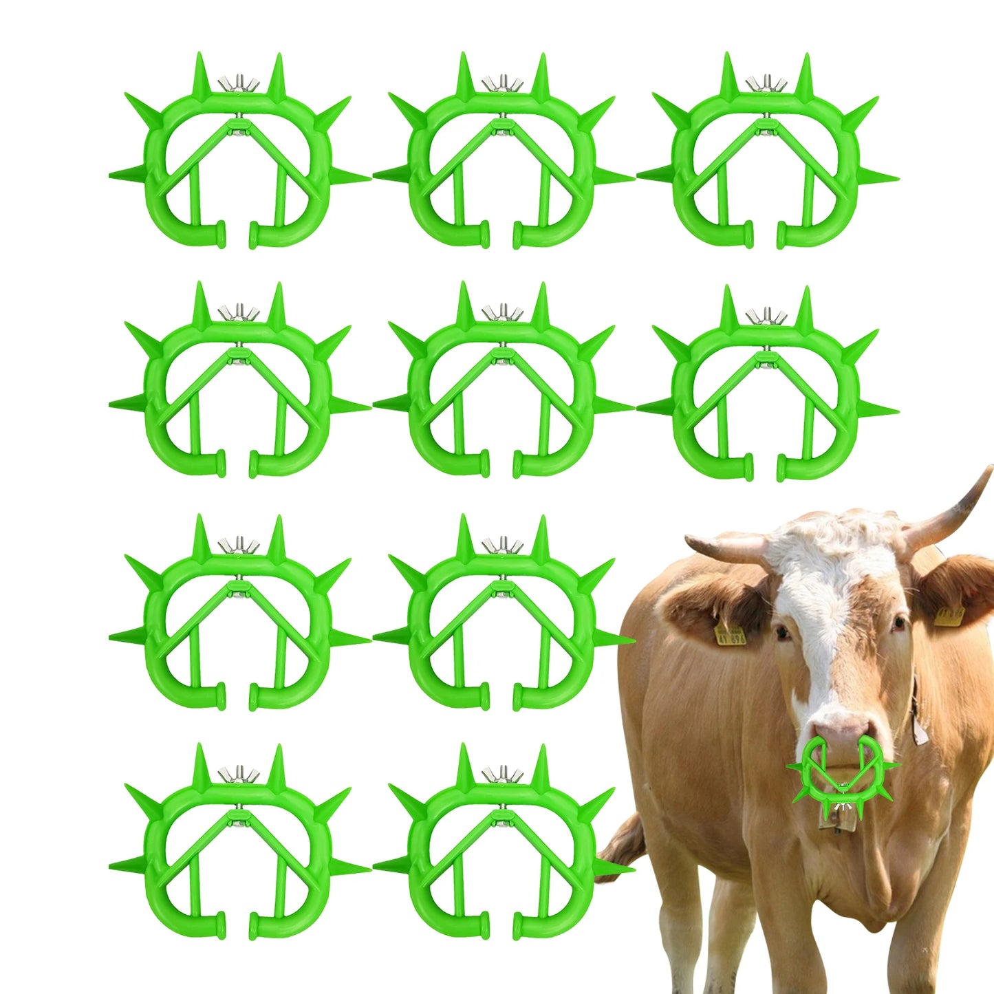 Cattle Nose Ring