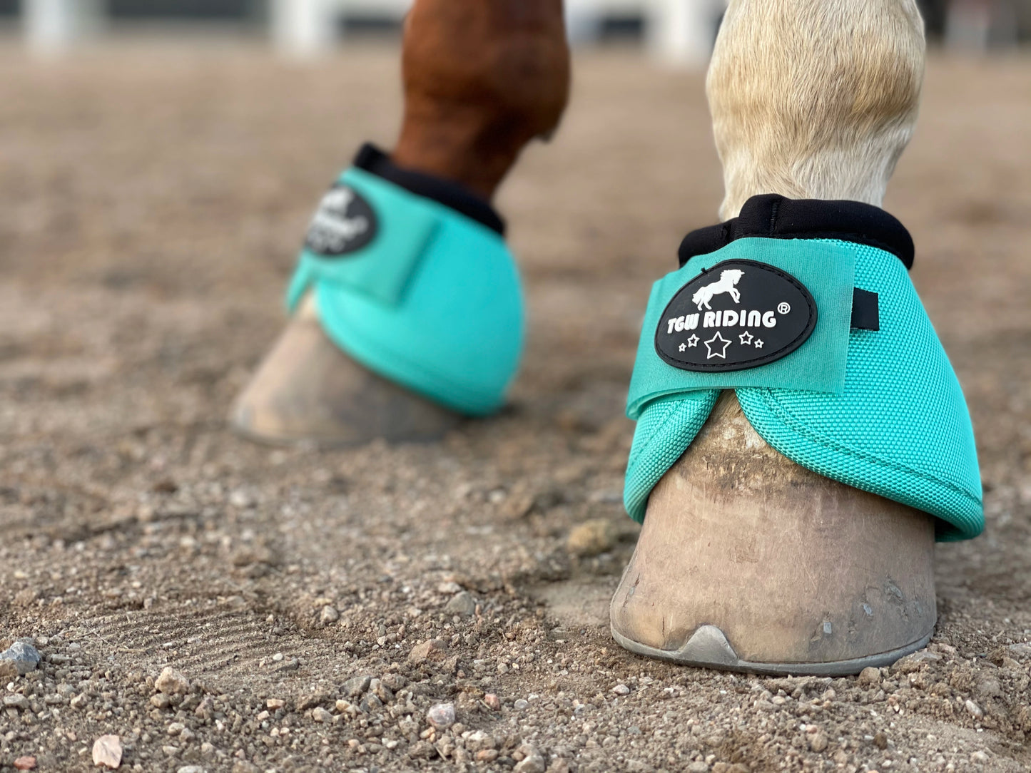 TGW RIDING 2520D Horse Bell Boots