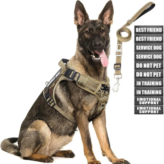 Tactical Dog Harness and Leash Set