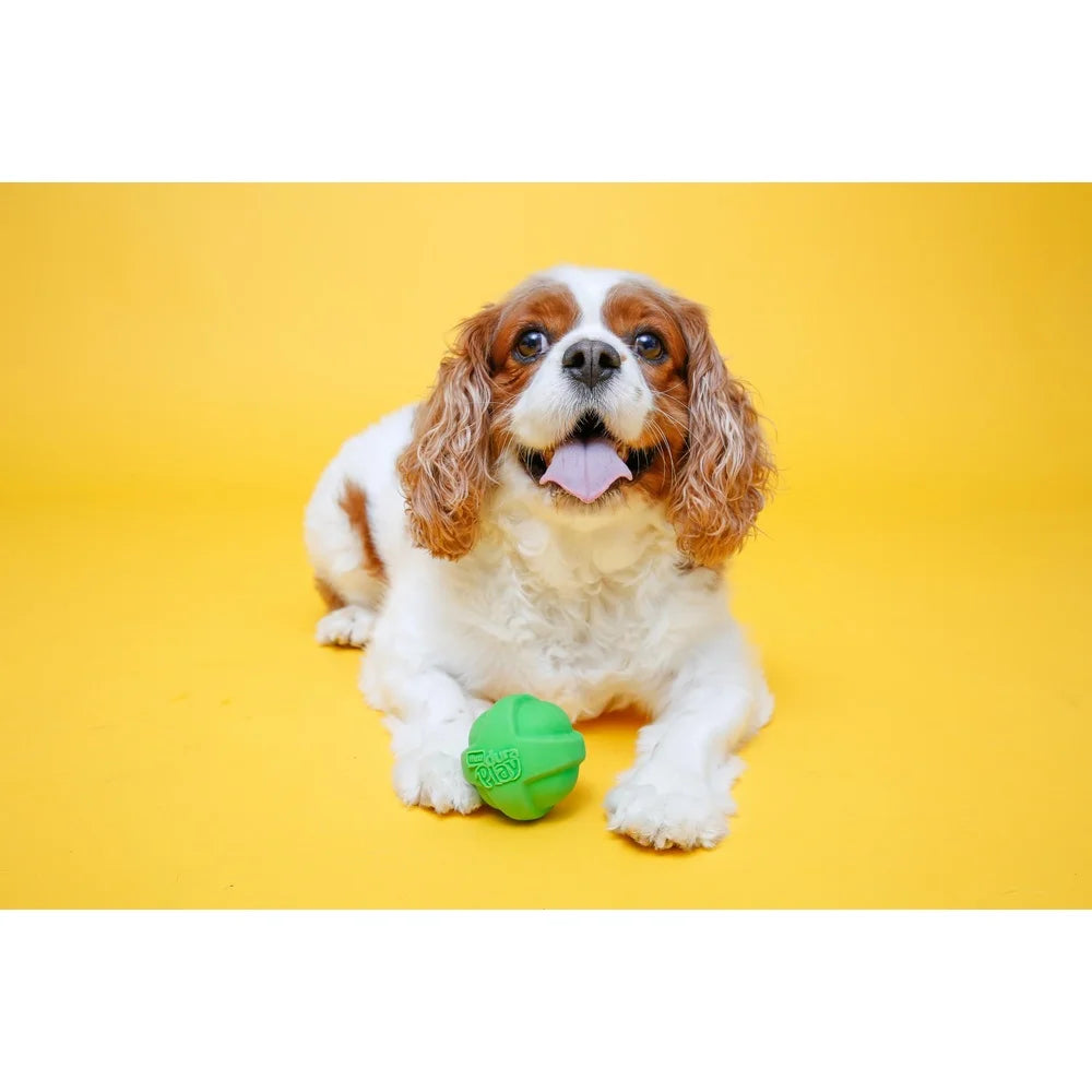 Durable Medium Dog Toy Set with Bacon Scent Squeaker Lightweight Foam Latex Indoor Outdoor Fetch Play