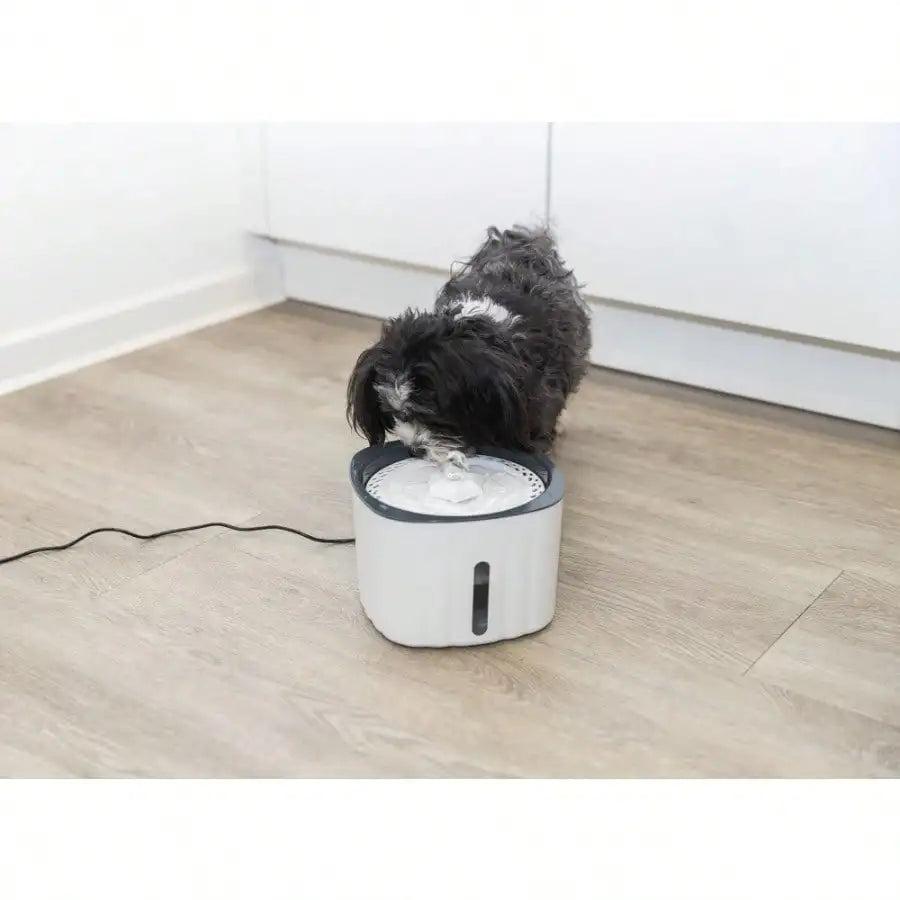 Scented Water Fountain for Cats and Dogs
