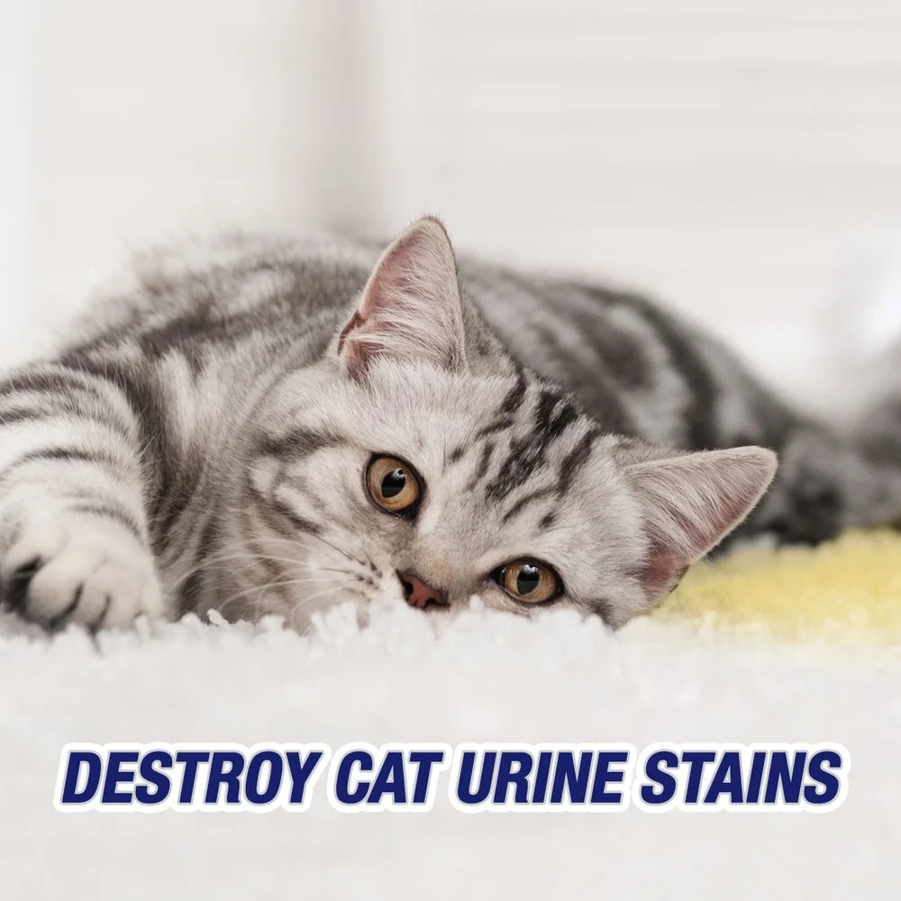 Pet Stain Odor Remover Spray