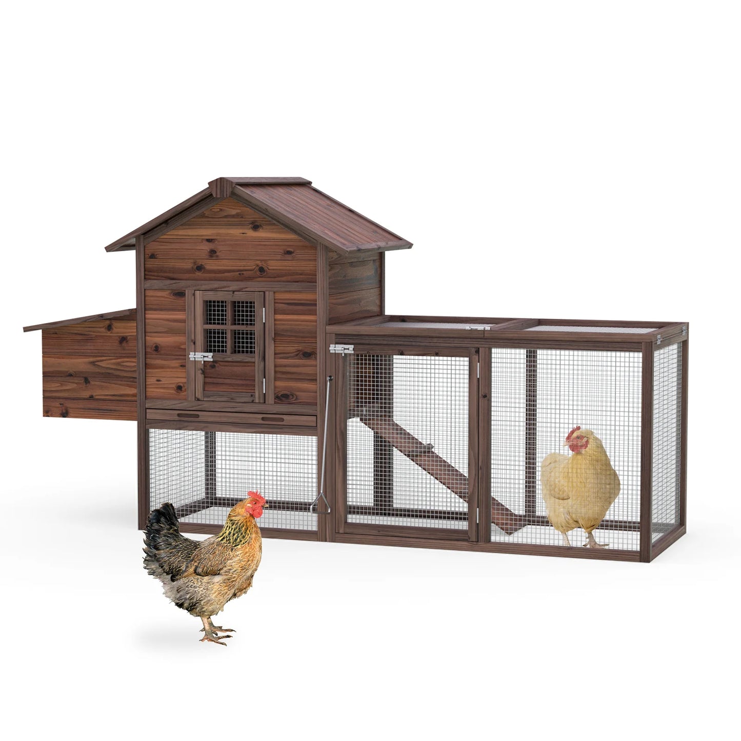 Chicken Coop for 5 Chickens