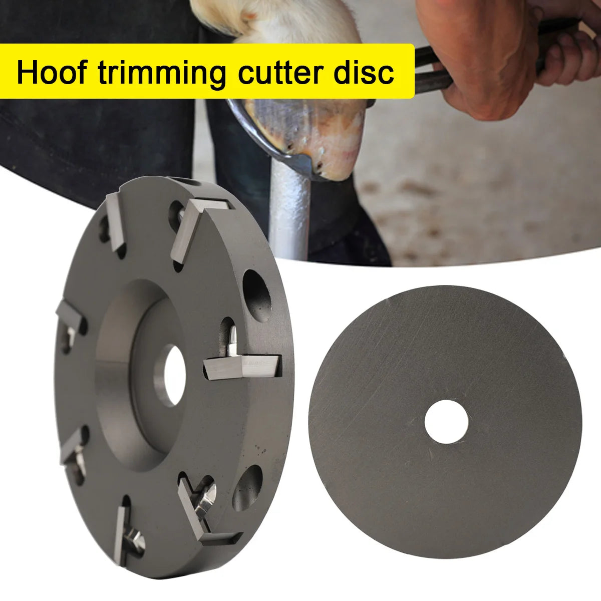 Hoof Care Tool