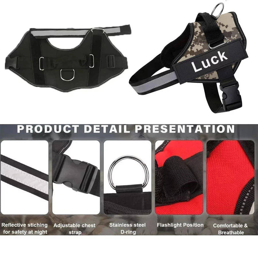 Personalized Dog Harness