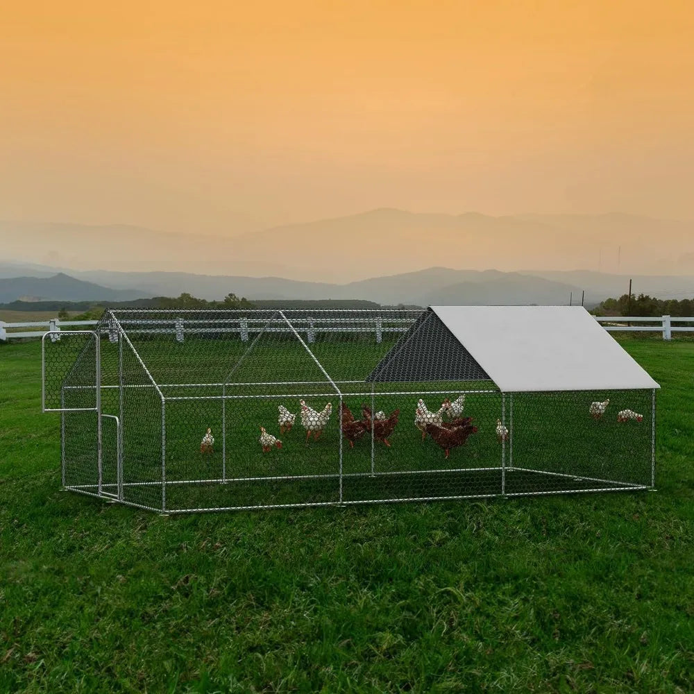 Extra Large Metal Chicken Run