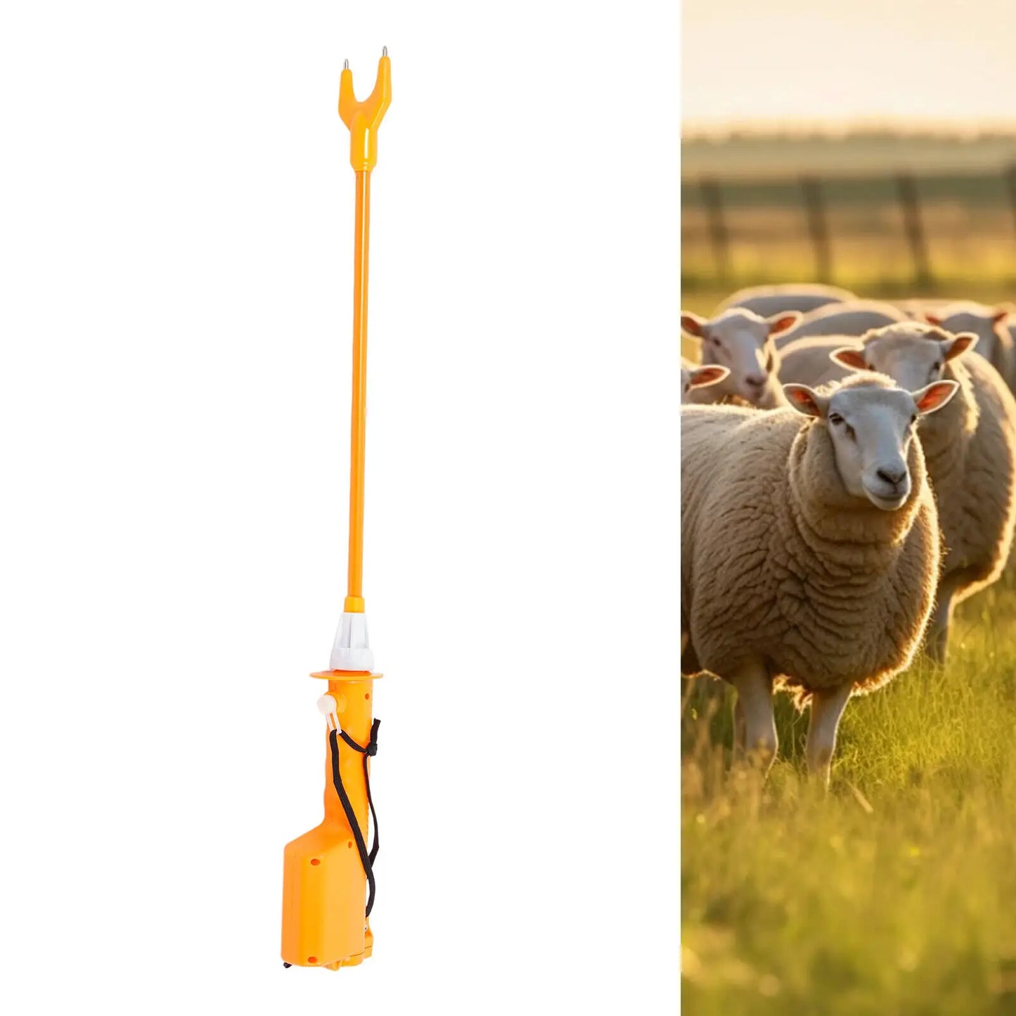 10000V Rechargeable Cattle Prod