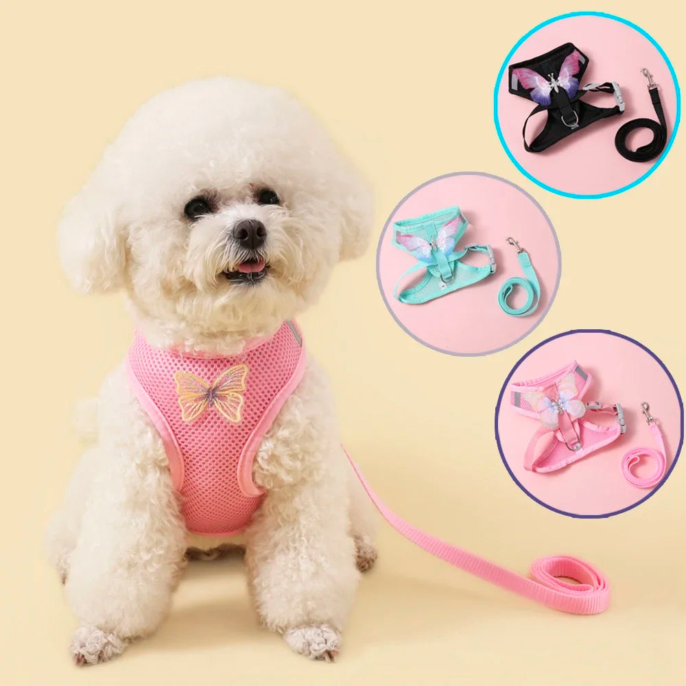 Butterfly Cute Breathable Dog Harness Set