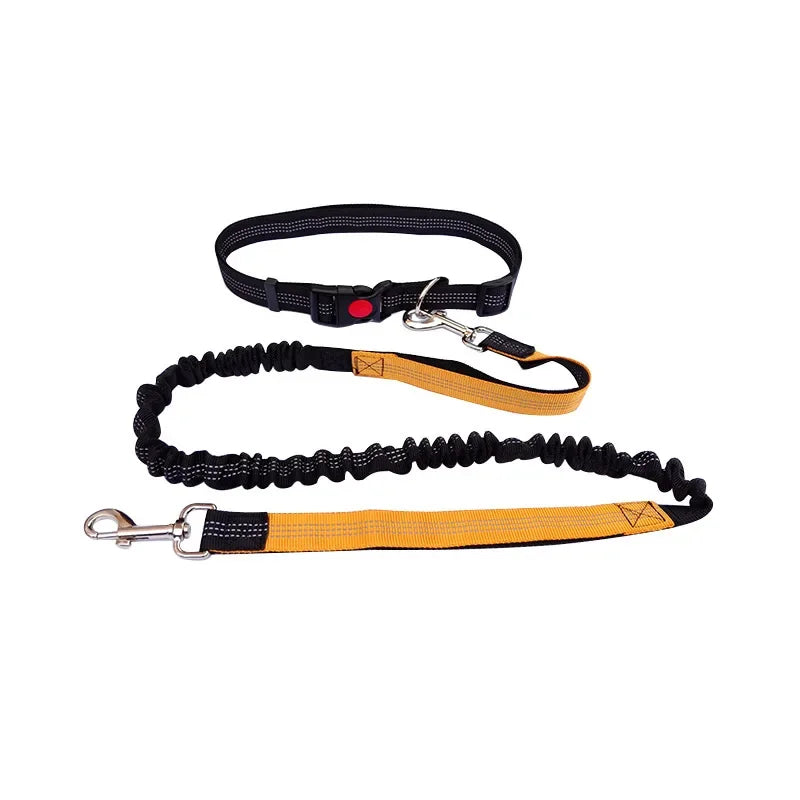Hand Free Dog Leash for Pet Walking Running Jogging