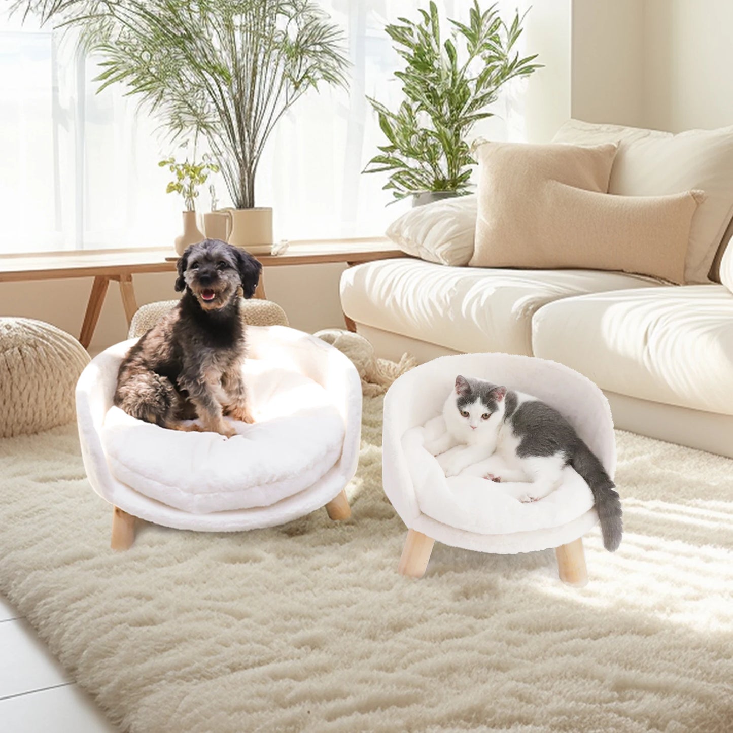 Pet Sofa Bed Raised Cat Chair Small Dog Couch Bed