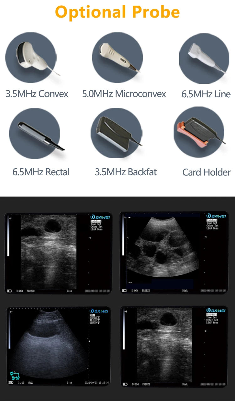 Portable Veterinary Ultrasound Scanner