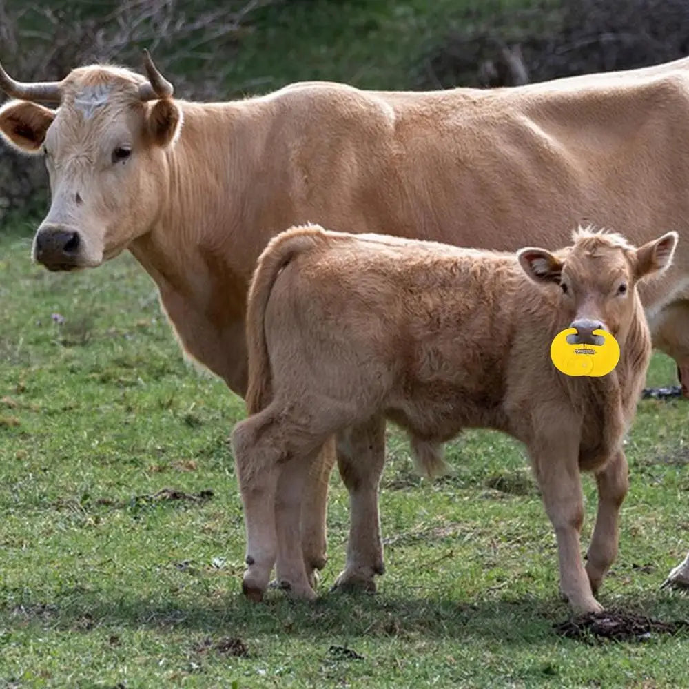 Calf Weaner Nose Rings