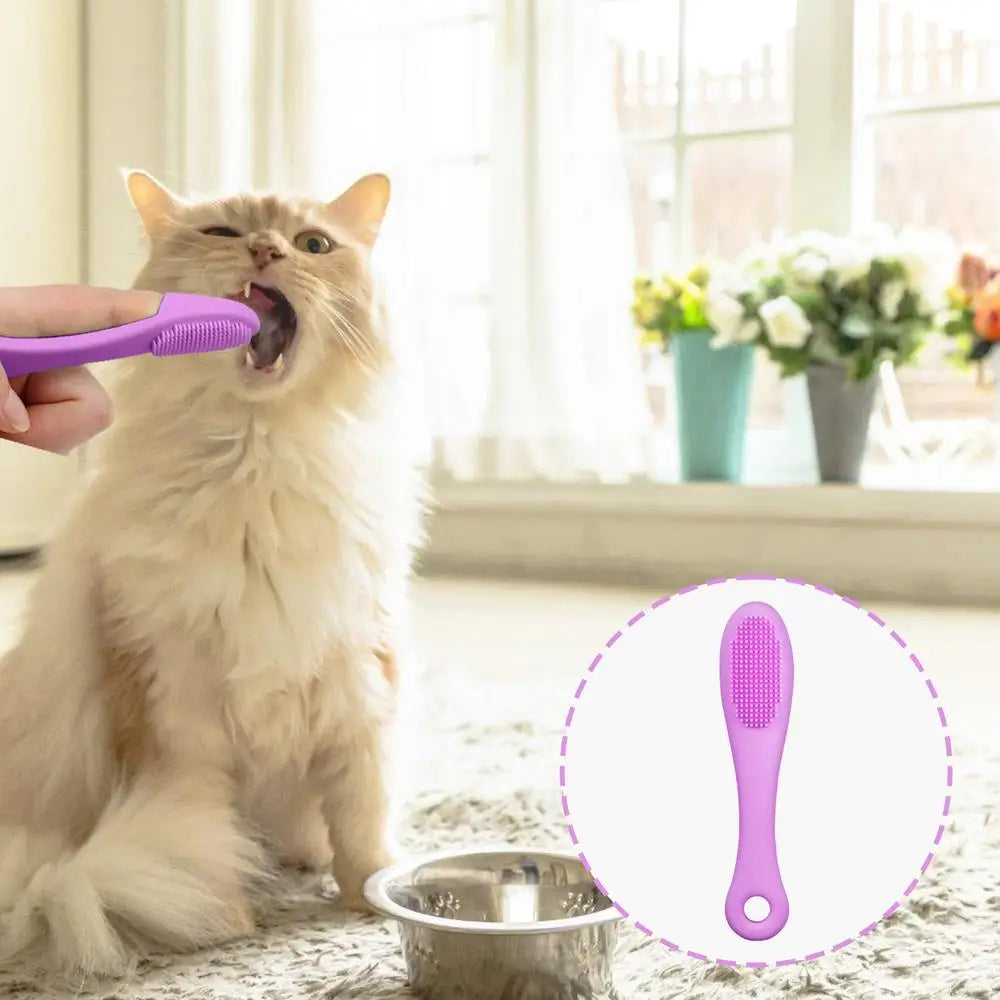 Cat Chin Brush