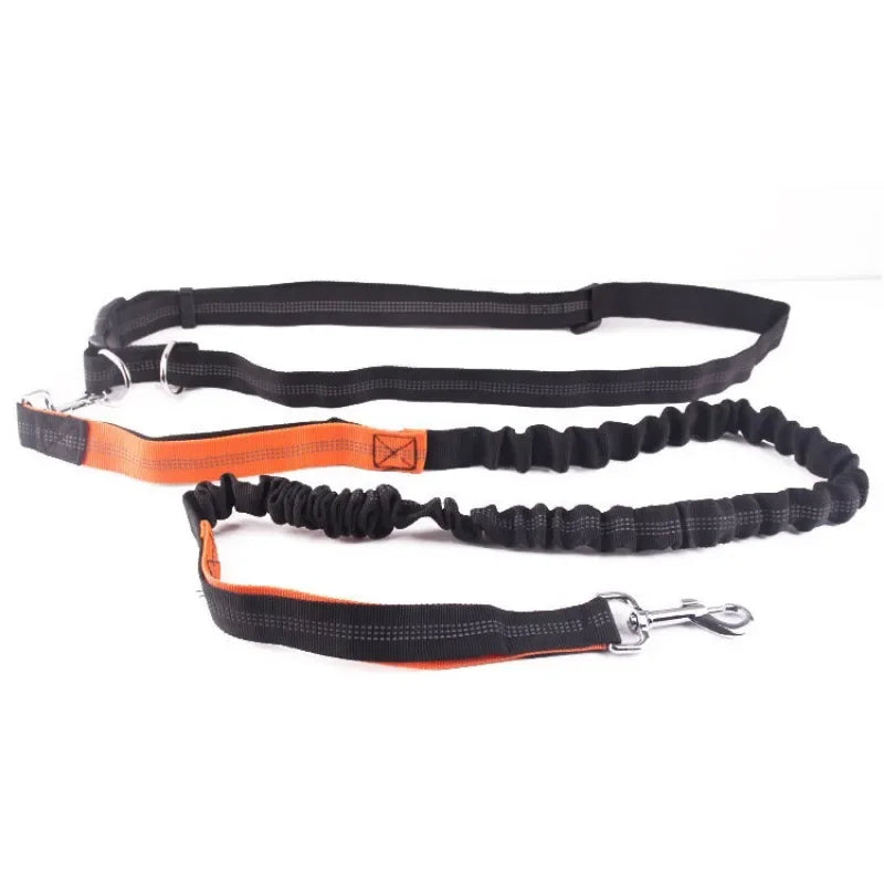 Hand Free Dog Leash for Pet Walking Running Jogging