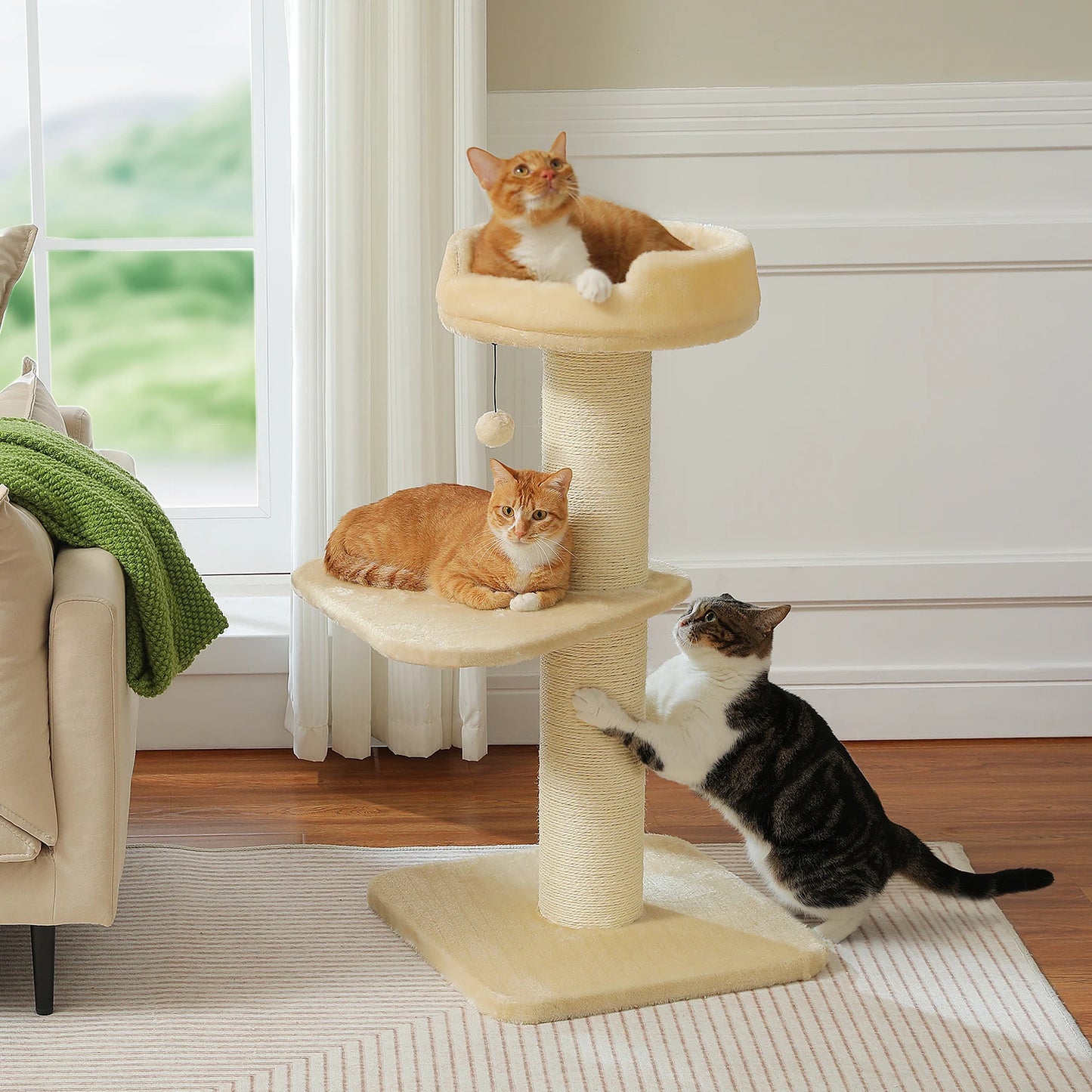 Indoor Modern Cat Tree Tower