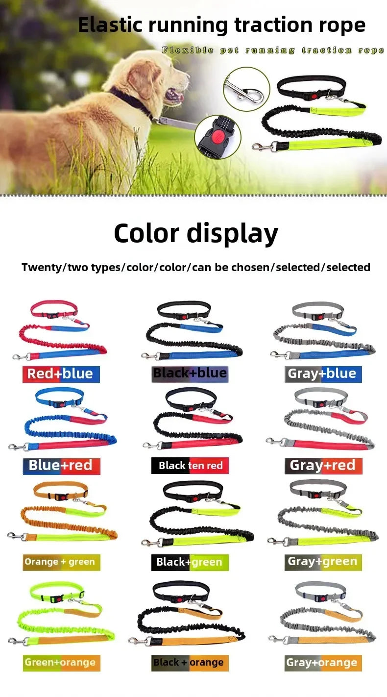 Hand Free Dog Leash for Pet Walking
