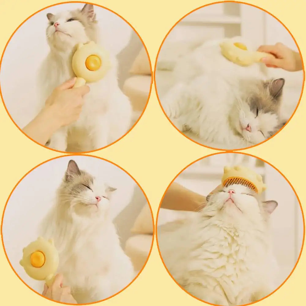 Cat Brush Pet Hair Removal Brushes