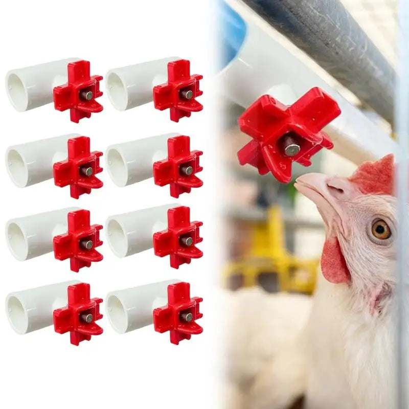 Chicken Water Cups For Poultry