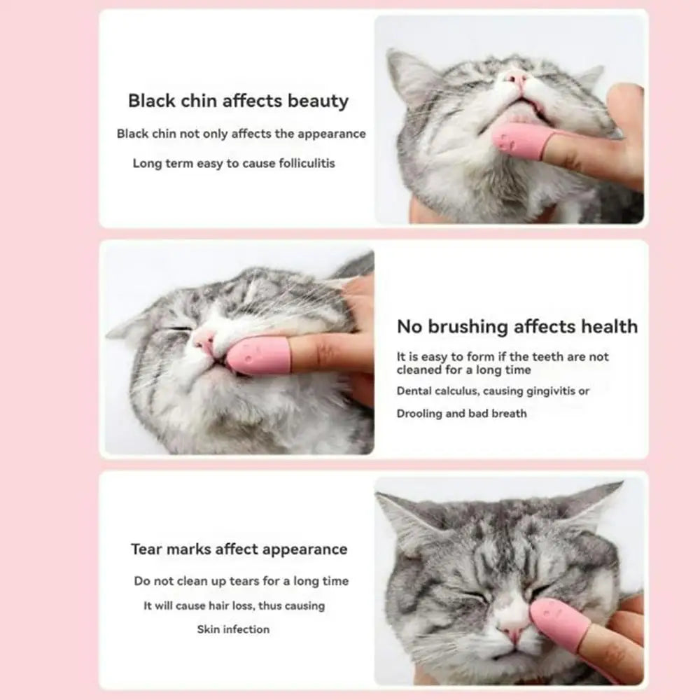 Cat Chin Brush