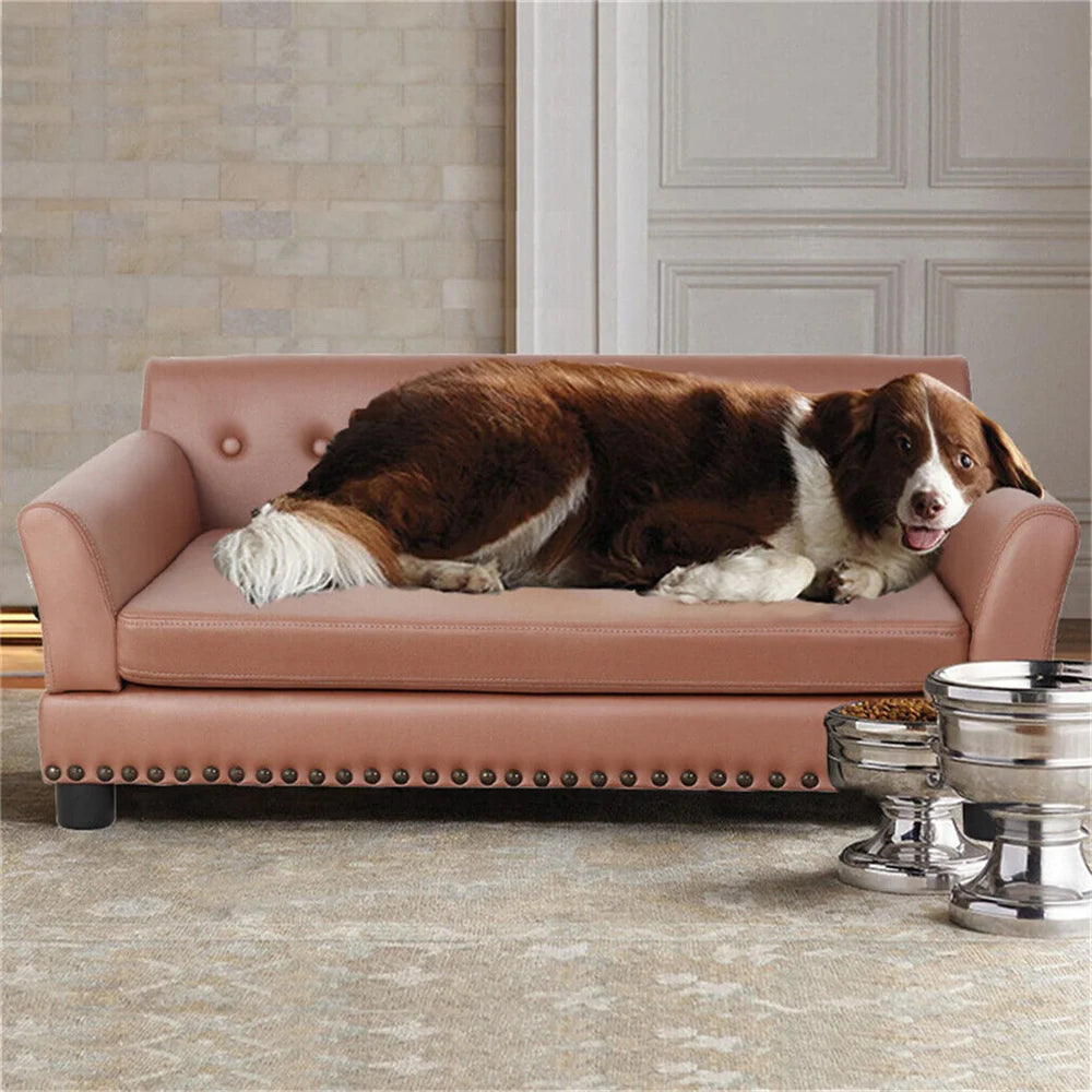 Large Elevated Dog Bed