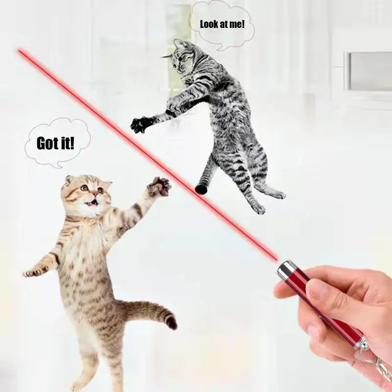 Keychain Red Laser Pointer Pen