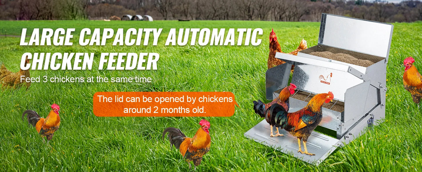 SucceBuy Automatic Chicken Feeder