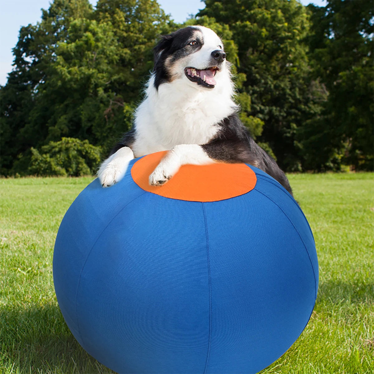 Four-legged Animal Game Ball Outdoor