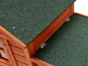 Large Chicken Coop