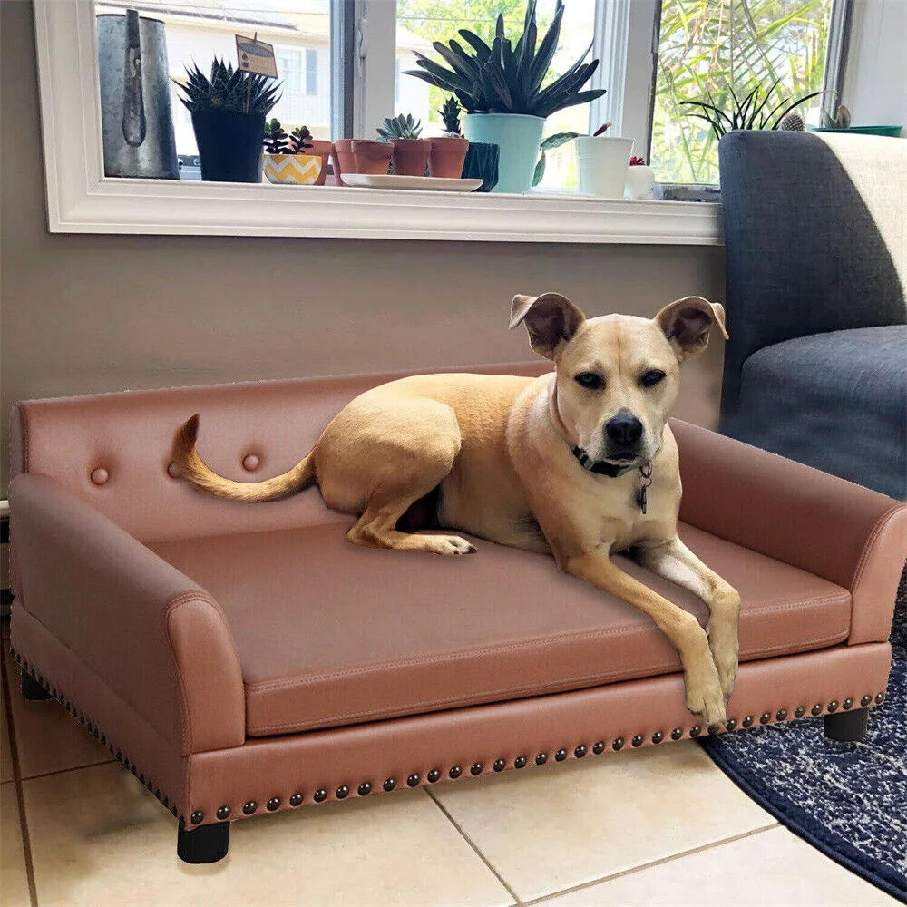 Large Elevated Dog Bed