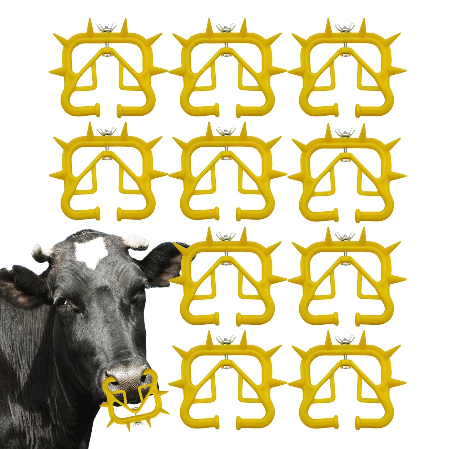 Cattle Nose Ring