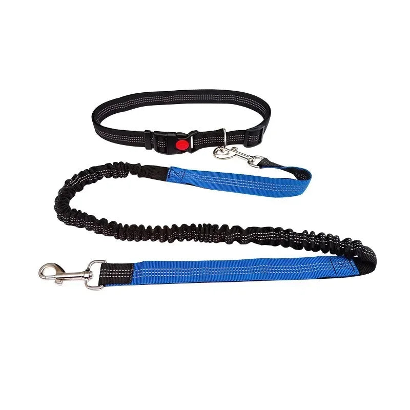 Hand Free Dog Leash for Pet Walking