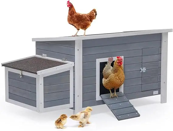 Large Chicken Coop with Upgraded Perches