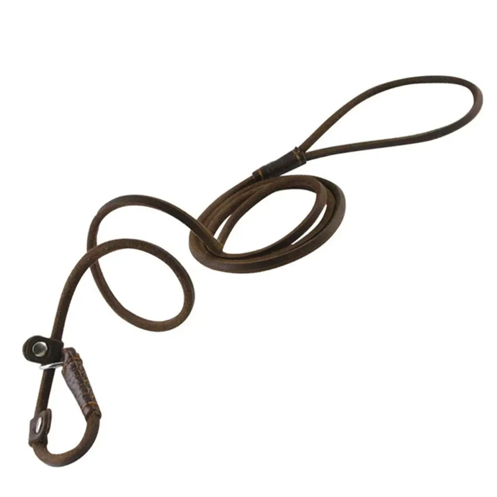 Genuine Leather Slip Dog Leash