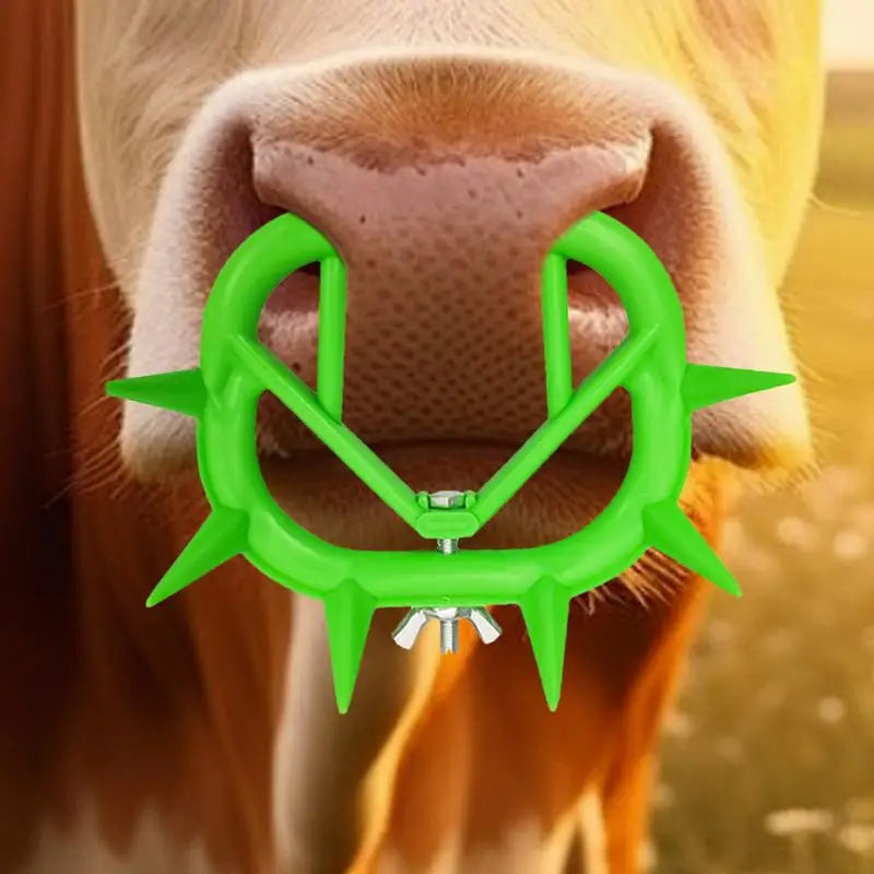 Cow Nose Ring