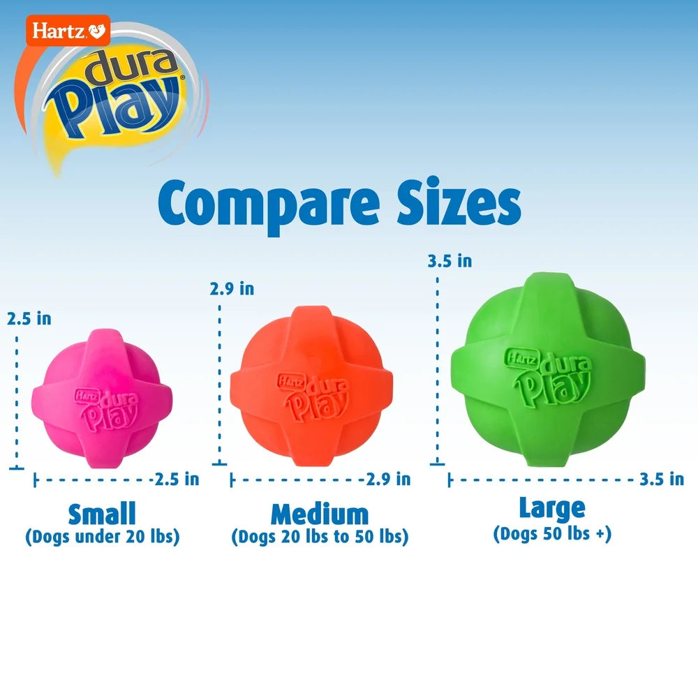Durable Medium Dog Toy Set with Bacon Scent Squeaker Lightweight Foam Latex Indoor Outdoor Fetch Play