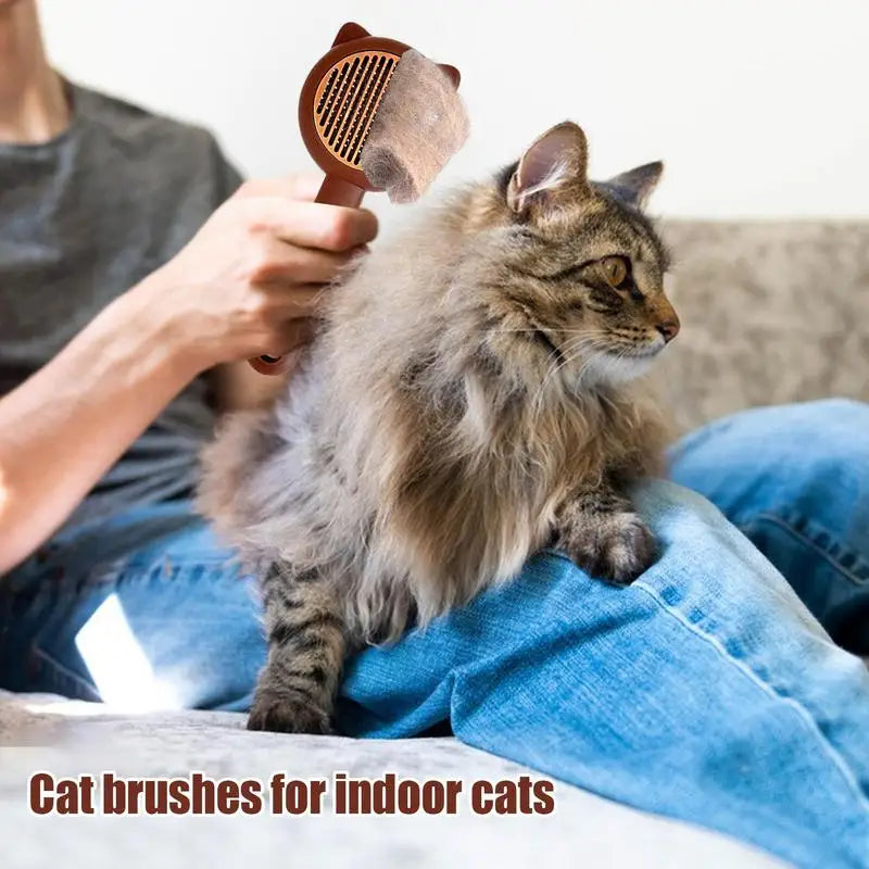 Cat Brush For Shedding