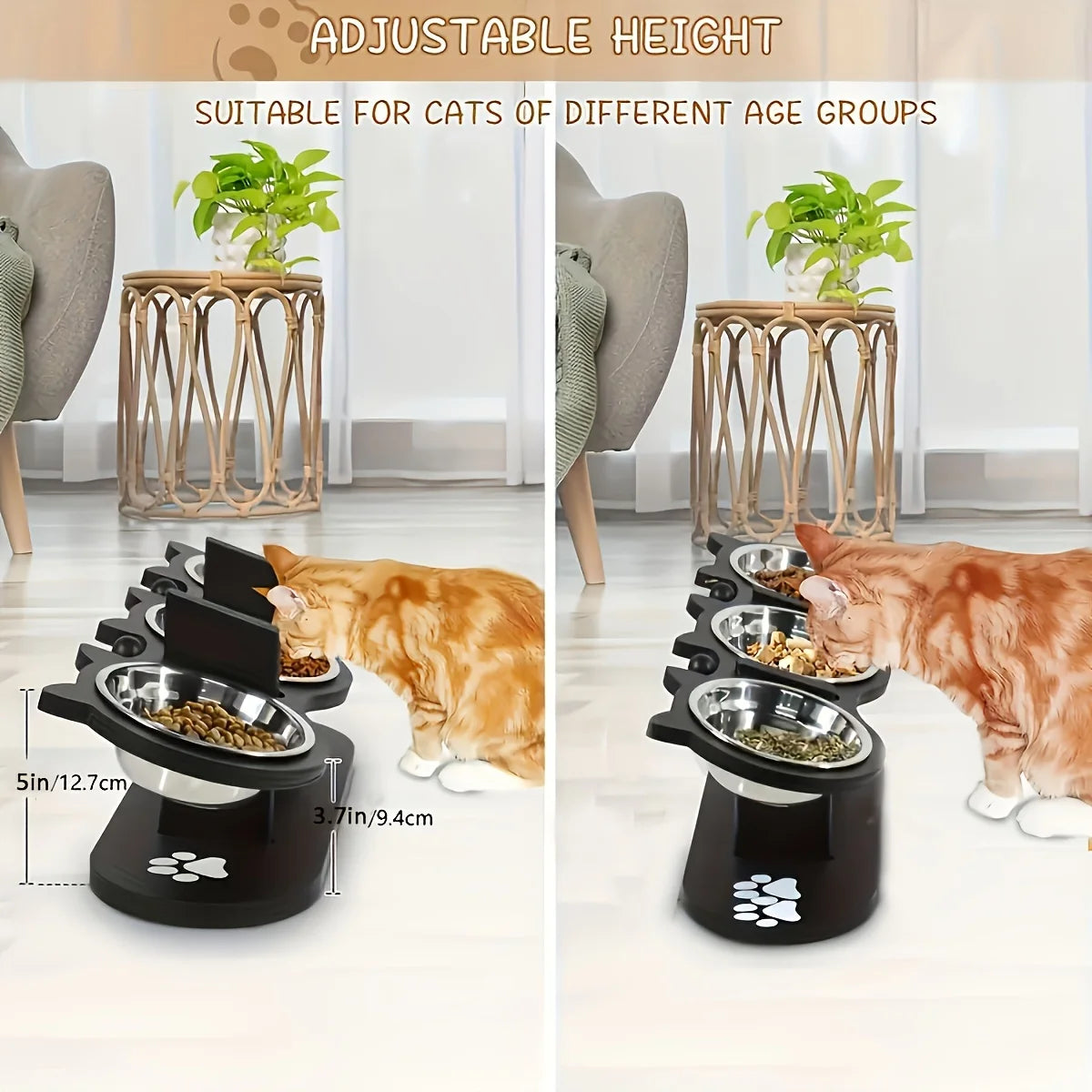 3 Cat Bowls in 1 Feeder Feeding & Watering Supplies
